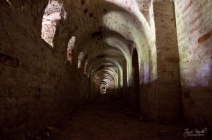 Neke izgledaju ovako... Foto: Igor Bardić-Barda