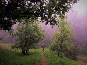 Mtb staza "Baberijus" - šumskom stazom