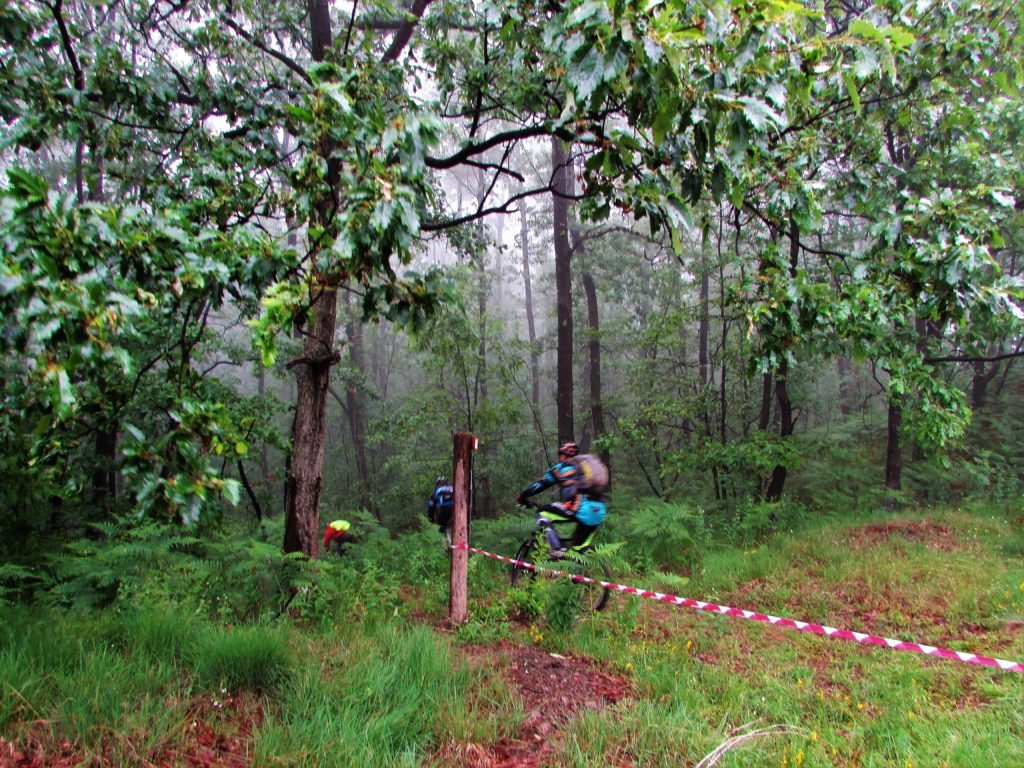 Mtb staza "Baberijus"