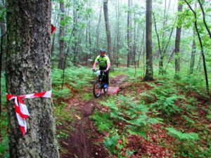 Mtb staza "Baberijus" - spust šumskom stazom