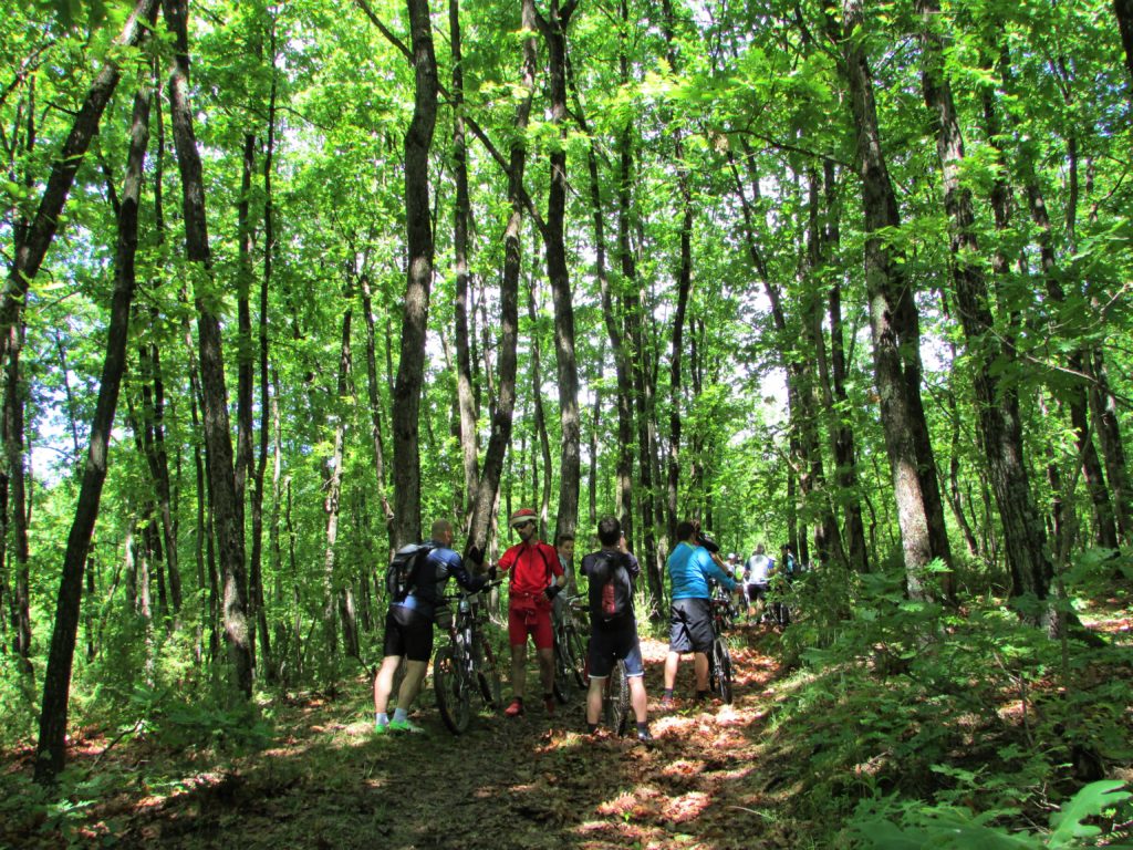 Mtb kros Putevi sokola, u šumi
