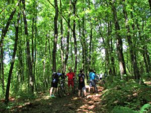 Mtb kros Putevi sokola, u šumi