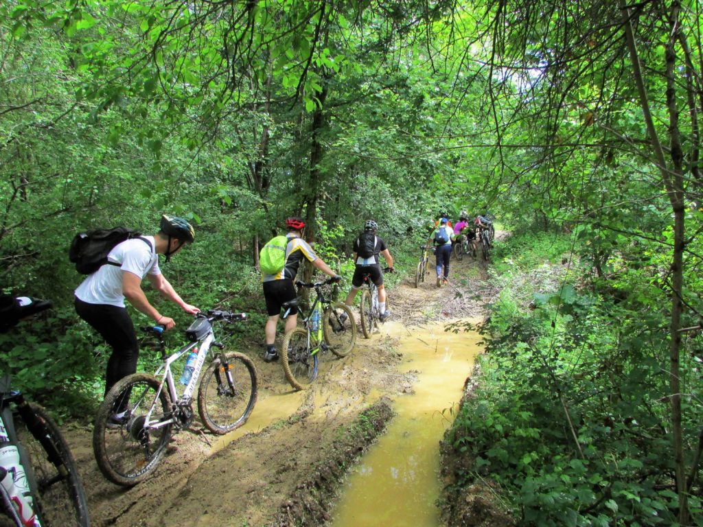 MTB kros Putevi Sokola - blatnjavim šumskim putevima