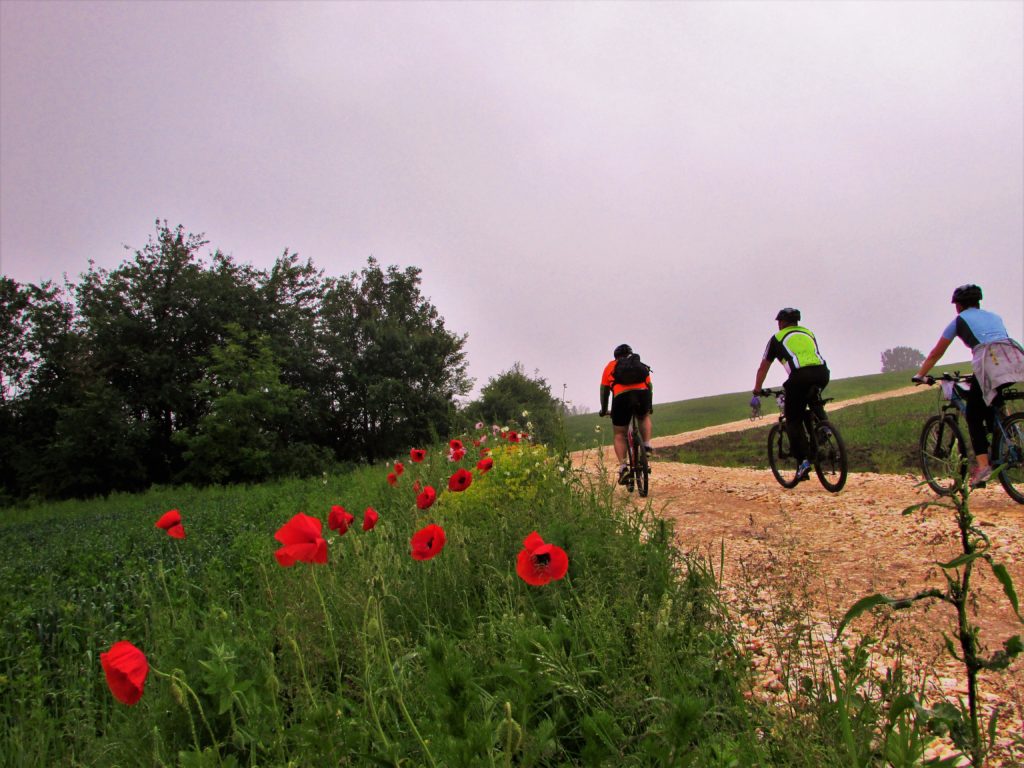 Makadamski deo mtb staze "Baberijus"