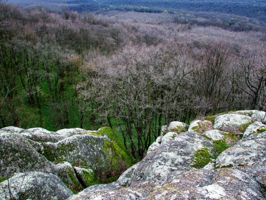 "Bela šuma" ispod Hajdučkih stena