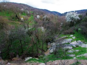 Spust sa Vršačkog brega