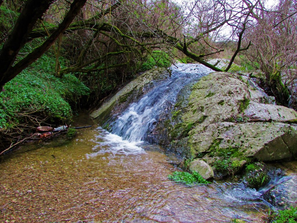 Ispod Vršačkog brega