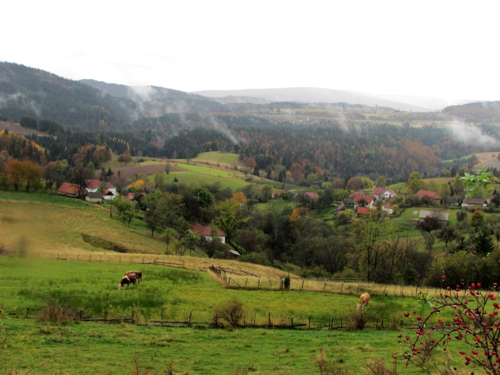 Golijski brežuljci i pašnjaci