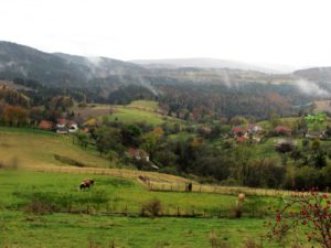 Golijski brežuljci i pašnjaci