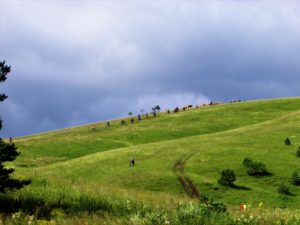 Čiker mtb marton 2016