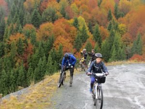 Freebikerska vožnja Golijom u jesen