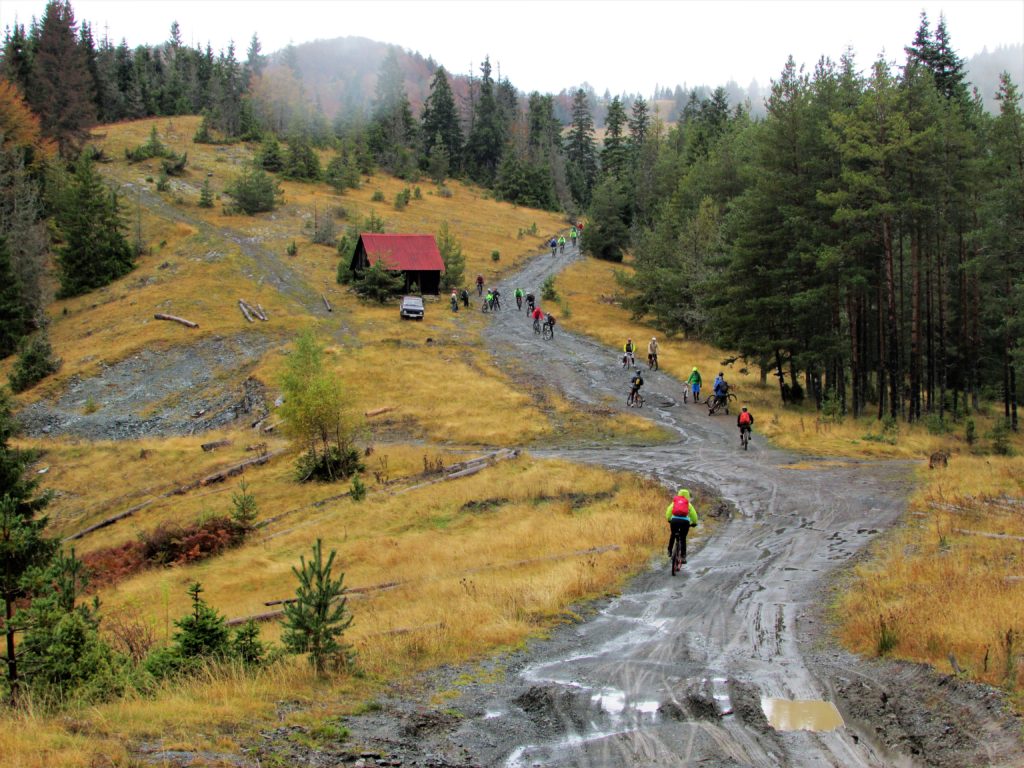 Golijsko prostranstvo