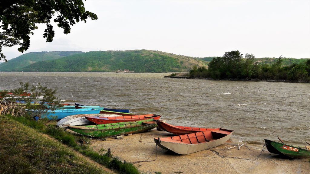 Uzburkani Dunav u Staroj Palanci