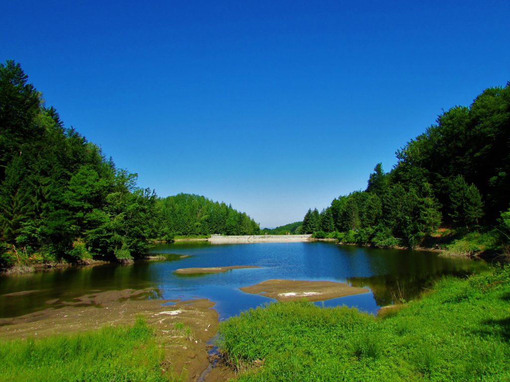Radaljsko jezero