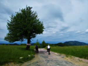 Gvozdačke stene_04
