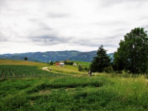 Gvozdačke stene