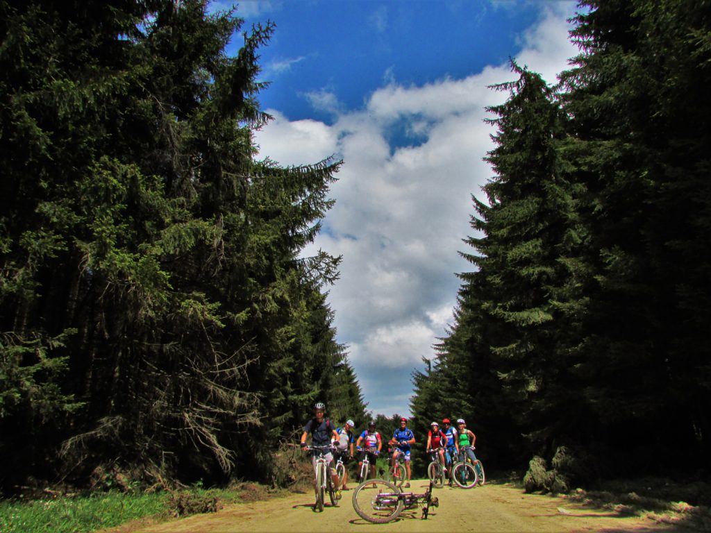 Velika Brezovica