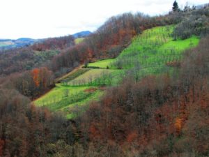 Malič_02