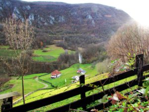 Malič
