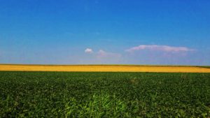 Banatske plodne oranice