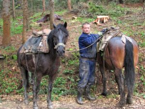 Šumski radnici na Tari
