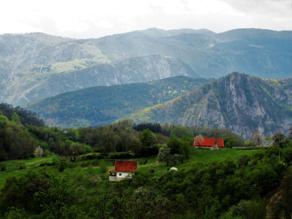 Veličanstvena Tara