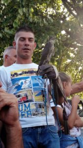 Sokolari u selu Bastav