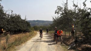 Kroz šljivike i prašnjave puteljke