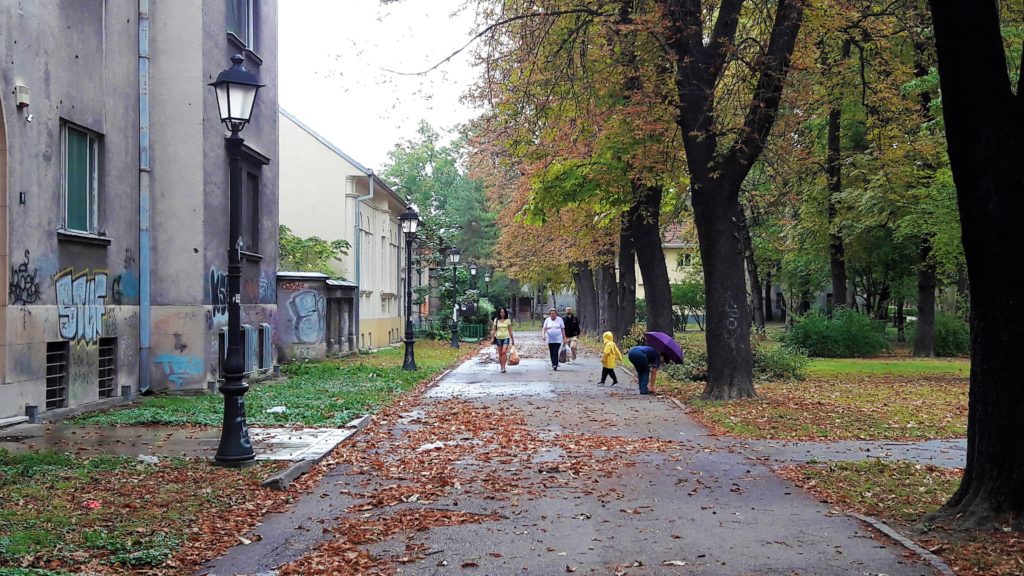Kišno septembarsko jutro u Zemunu