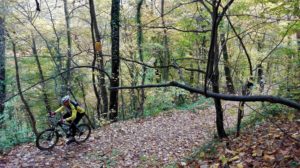 Fruškogorski jesenji mrb maraton 2016