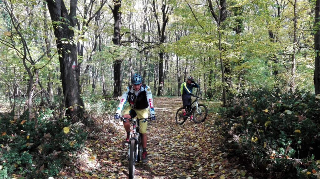 Fruškogorski jesenji mtb maraton 2016