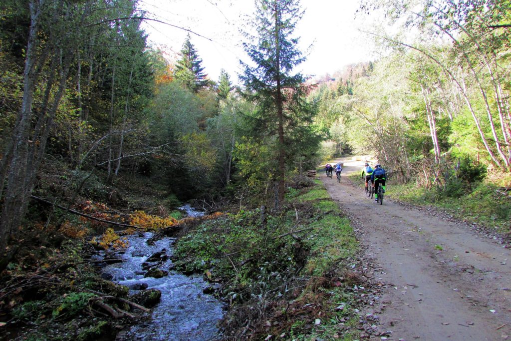 Vozimo pored Studenice