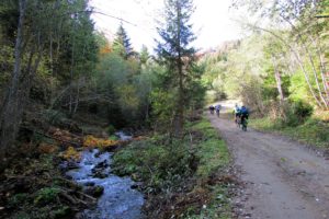 Vozimo pored Studenice