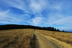 Put prema Jankovom kamenu