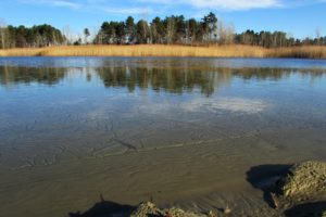 Jezero Majdan u Subotičkoj peščari