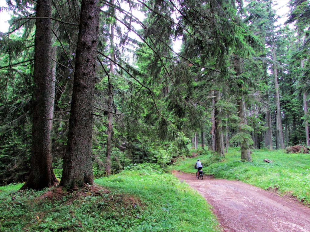 Šume Zlatara