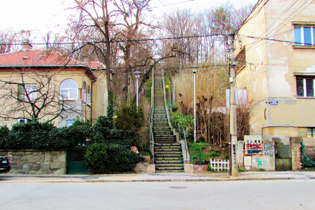 Pogled na zemunske stepenice Kalvarice sa donjogradske ulice Tošin Bunar