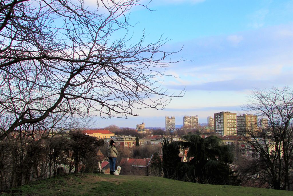 Pogled sa Kalvarije na Donji Zemun i Dunav
