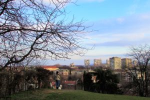 Pogled sa Kalvarije na Donji Zemun i Dunav
