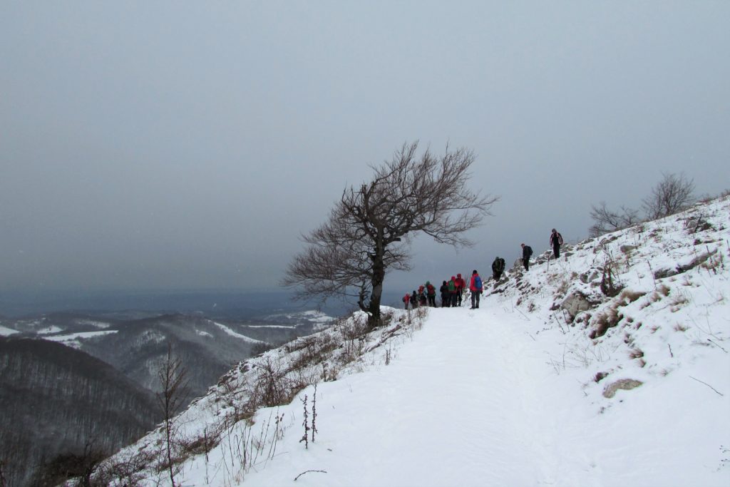 Vidikovac podno Čuček-stene