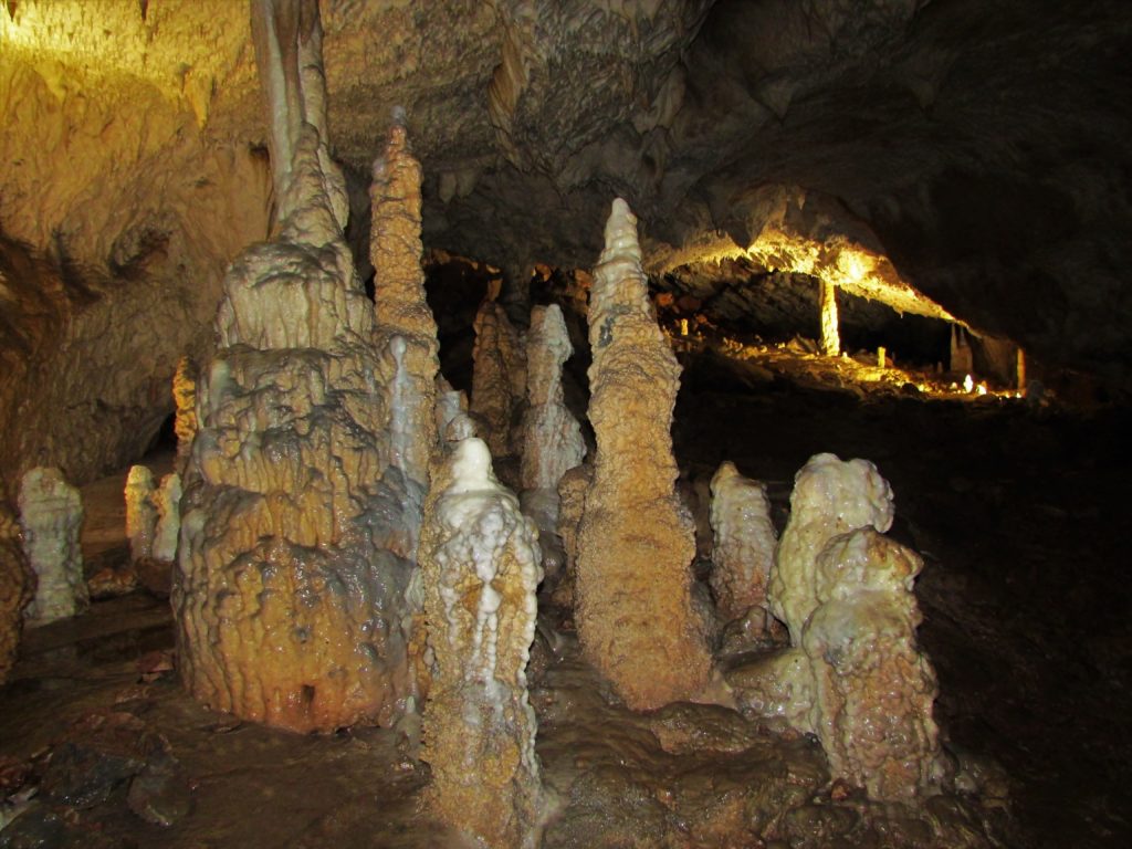 Detalj iz Rajkove pećine