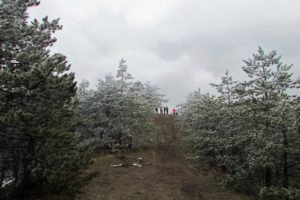 Pogled prema vrhu Suvobor