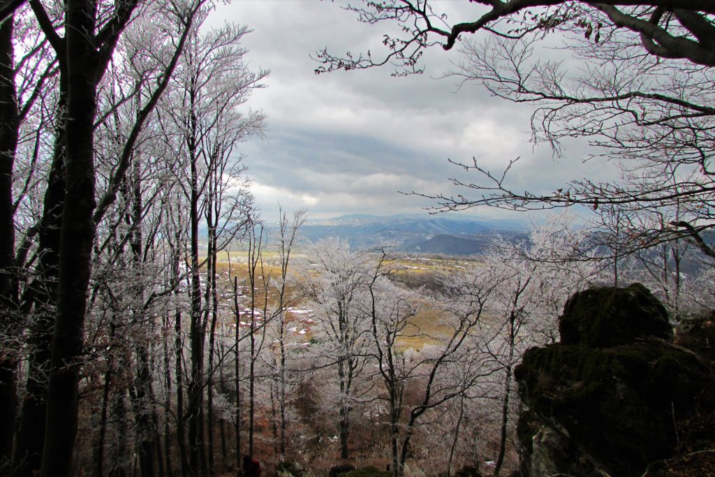 Pogled sa Danilovog Vrha