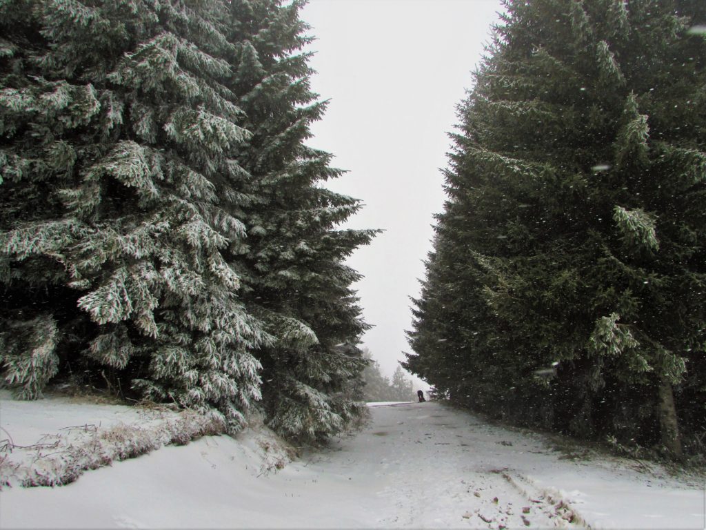 Gvozdačke stene