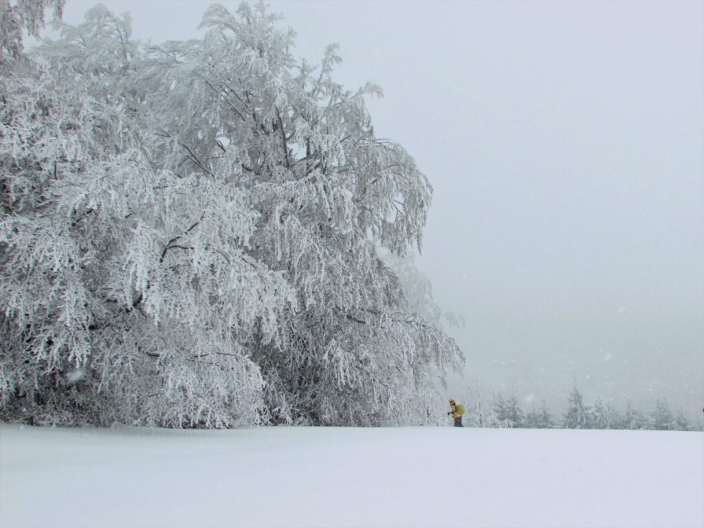 Gvozdačke stene