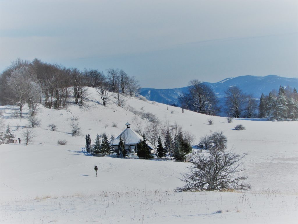 Povlen