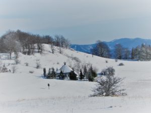 Povlen