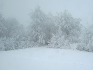 Gvozdačke stene