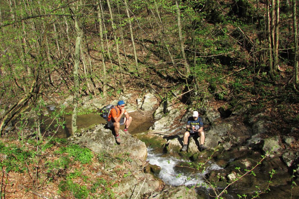Pauza pored jedne od pritoka Vitovničke reke