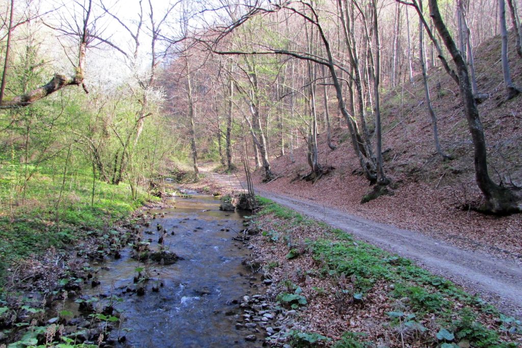 Vitovnička reka